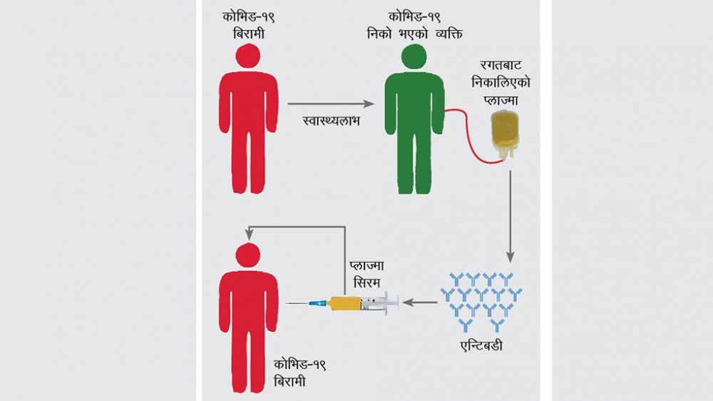 प्लाज्मा थेरापीले जगायो आशा