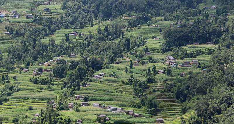 बागलुङको काठेखोला वडा क्षेत्र ५ दिनलाई सिल