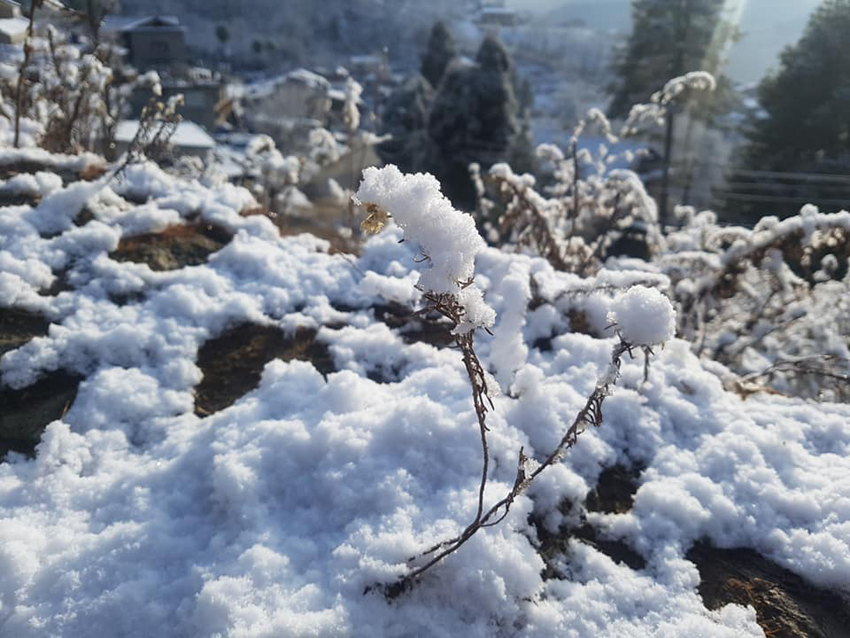 उच्च पहाडी तथा हिमाली भेगमा हिमपातको सम्भावना, तराईमा बाक्लो हुस्सु