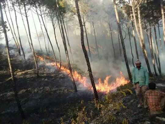 एकै दिन ४७ जिल्लाका ४ सय ७९ स्थानमा डढेलो