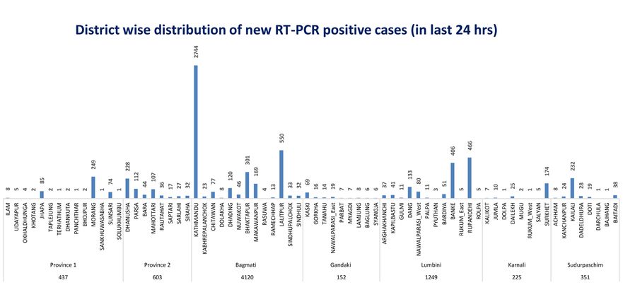 २४ घण्टामा कुन प्रदेशमा कति थपिए कोरोना संक्रमित ?, हेर्नुहोस् जिल्लागत विवरण