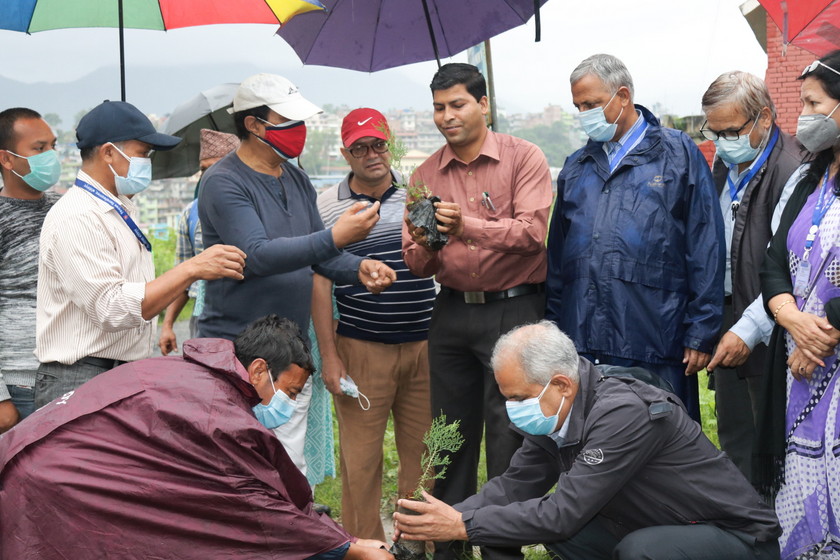 ग्लोबल आइएमई बैंक र त्रिभुवन विश्वविद्यालय क्याम्पस बीचको सहकार्यमा वृक्षारोपण