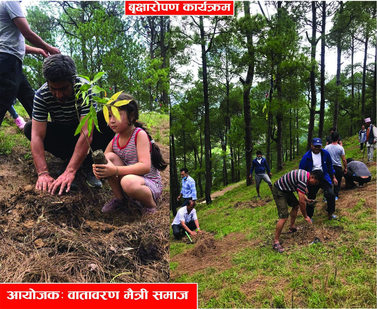 वाताबरण मैत्रीद्धारा रातमाटेमा बृक्षारोपण कार्यक्रम सम्पन्न