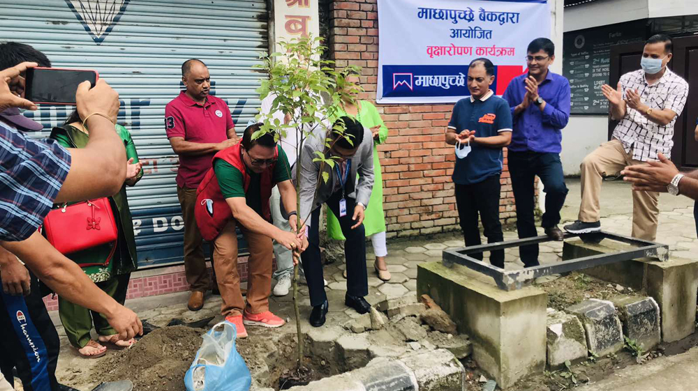 माछापुच्छ्रे बैंकद्वारासल्लाघारीदेखि न्युरो अस्पताल बासवरीसम्म १सय बिरुवा वृक्षारोपण