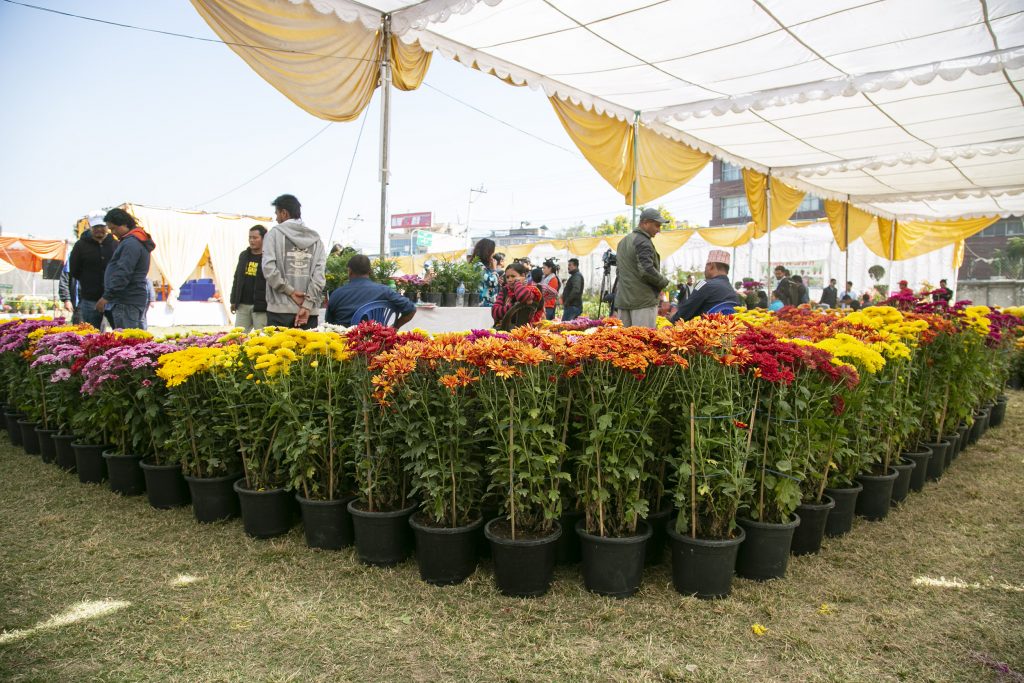 गोदावरी पुष्प प्रदर्शनीमा लक्ष्यभन्दा बढी कारोबार