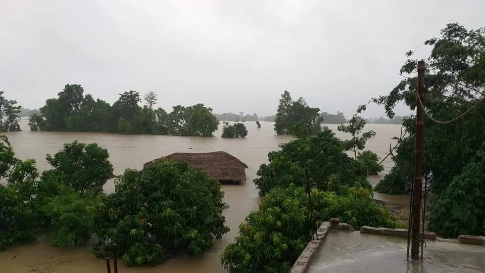 कुबेलाको बाढीले लियो ८८ को ज्यान