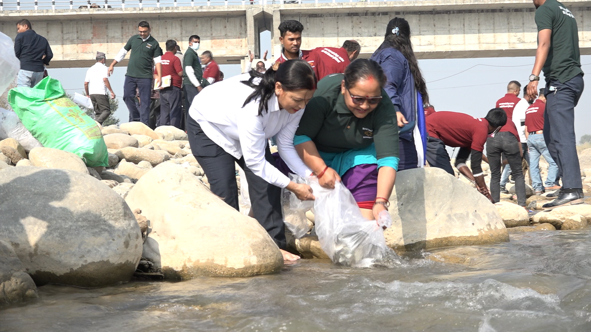 रासायनिक र प्लाष्टिकजन्य फोहोरले माछा घटे