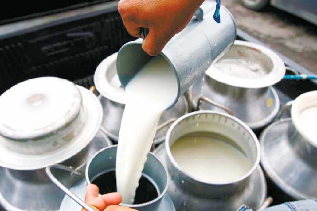 कच्चा पदार्थको उच्च मूल्यवृद्धिः दूधको मूल्य बढाउन माग
