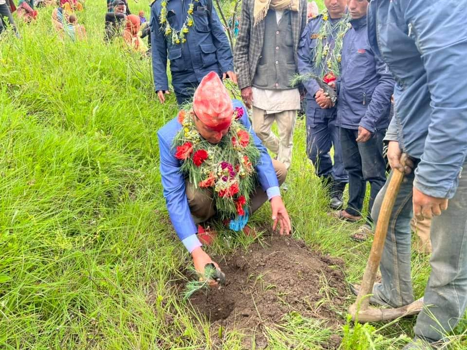 हिमाको वृक्षारोपण अभियान : ३२ हजार ६ सय ७६ बिरुवा रोपियो