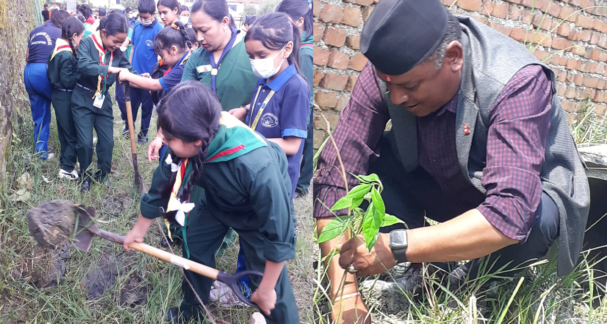 नेपाल स्काउटद्वारा वृक्षारोपण