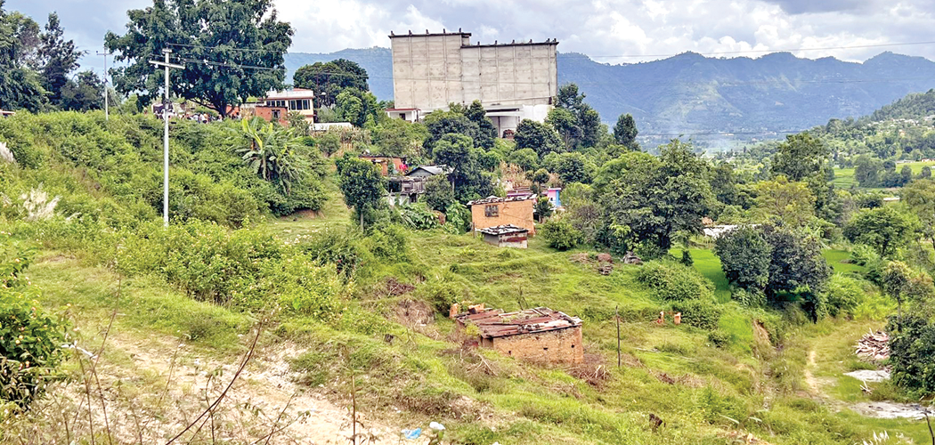 बाँझो जमिनमा घाँसखेती गर्नेलाई अनुदान, १८ लाख बजेट विनियोजन