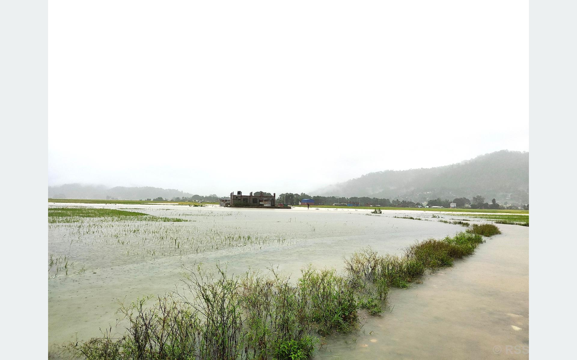 भेरी नदीमा जलस्तर खतराको तह पार, सतर्कता अपनाउन आग्रह