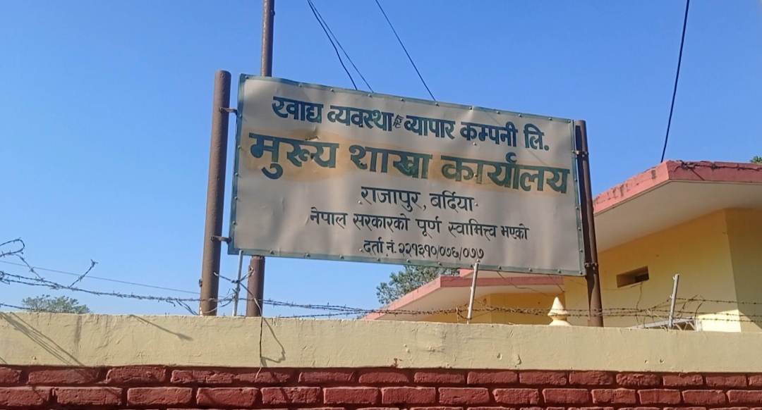 खाद्यले धान खरिदका लागि लगायो काँटा