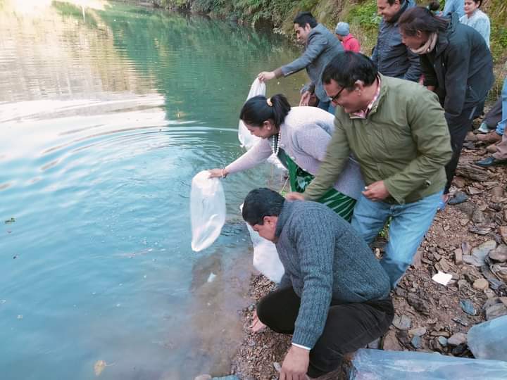 आँधी खोलामा छाडियो माछाका भुरा