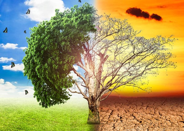 ‘जलवायु परिवर्तनलाई समयमै न्यूनीकरण गर्न नसके कृषिमा असर’