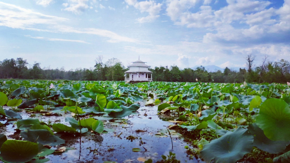 गङ्गामाता मन्दिरः आफैँ डुङ्गा चलाएर भक्तजनलाई मन्दिर पुर्‍याउँदै पुजारी