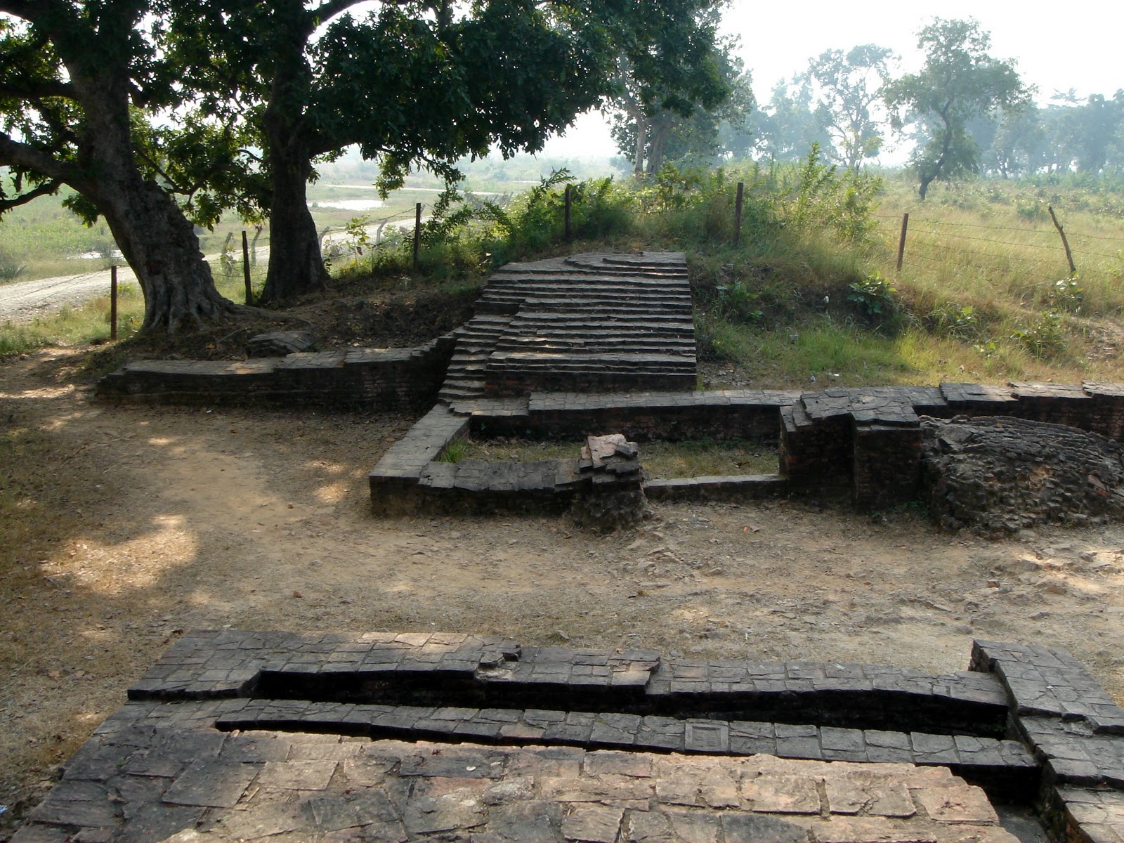 तिलौराकोटमा उत्खनन पुनः थालियो