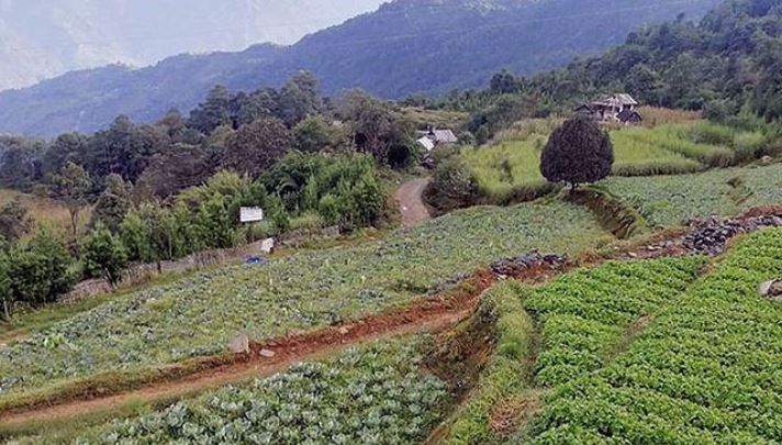 बरेखानी गाउँकै एक्ला युवा मित्रलाल, उनकै भरमा छन् गाउँवासी