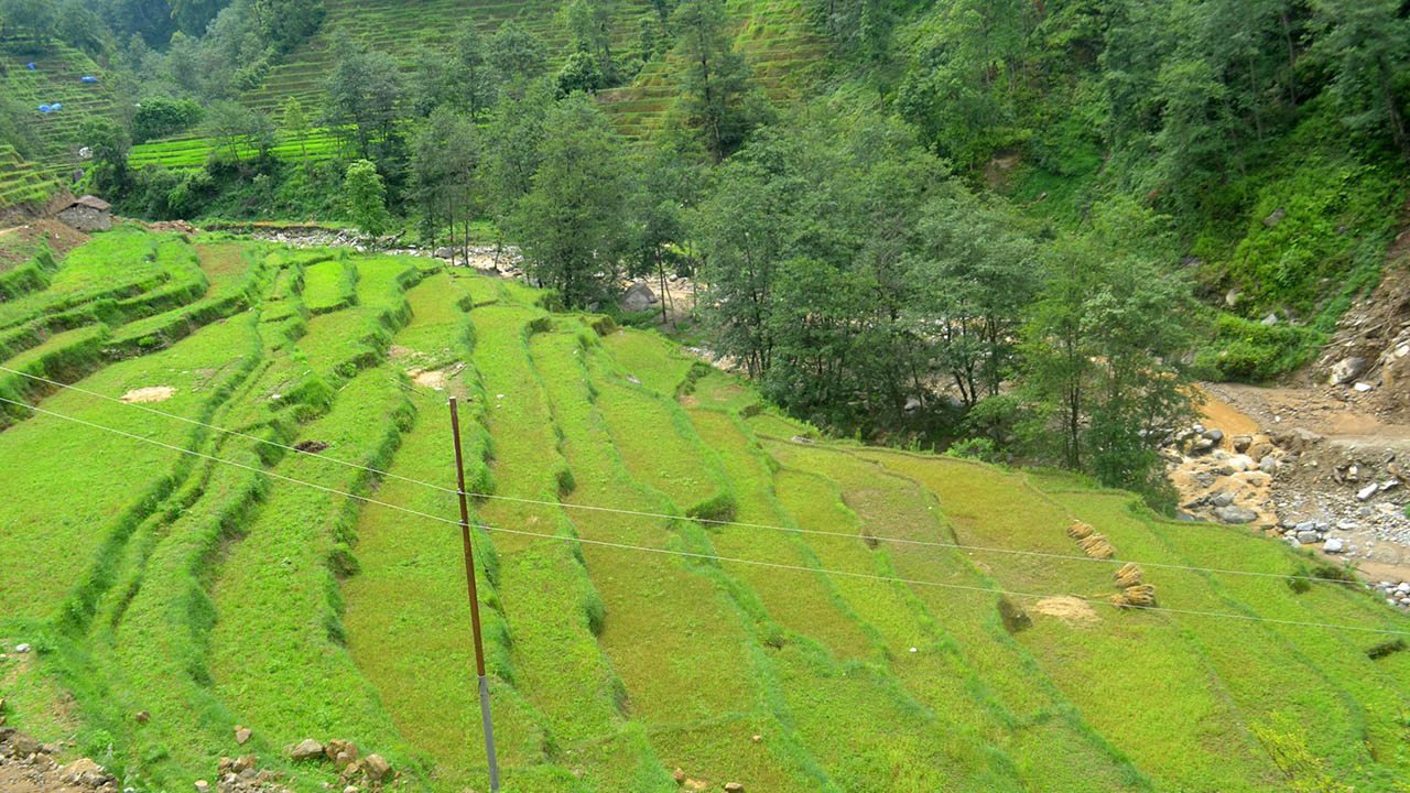 दुर्गम गाउँका खेतीयोग्य जमिन वर्गीकरण गरिँदै