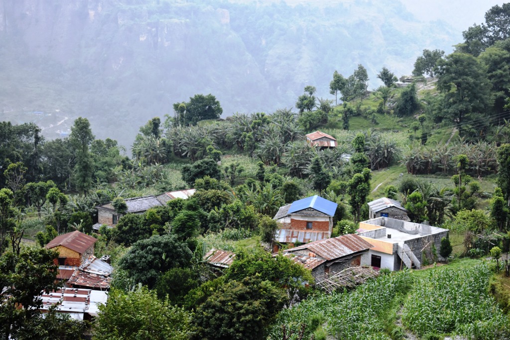 केरा बेचेर वार्षिक रू डेढ करोडभन्दा बढी आम्दानी