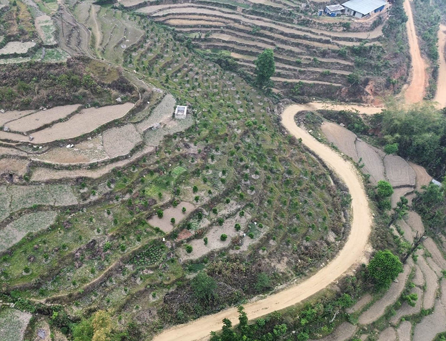 सिँचाइ कुलो भत्काउँदा खेत बाँझै