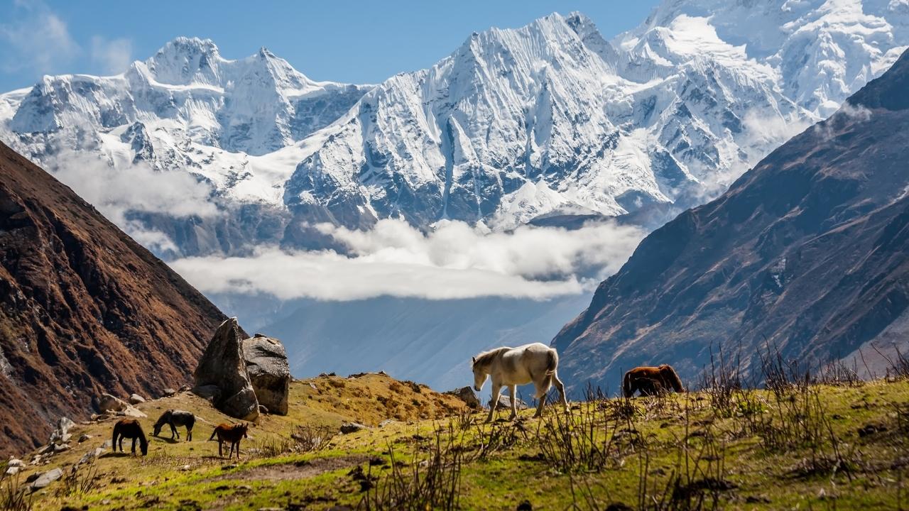 मनास्लु हिमालबाटै उठ्यो शरद् ऋतुमा झन्डै साढे तीन करोड रोयल्टी