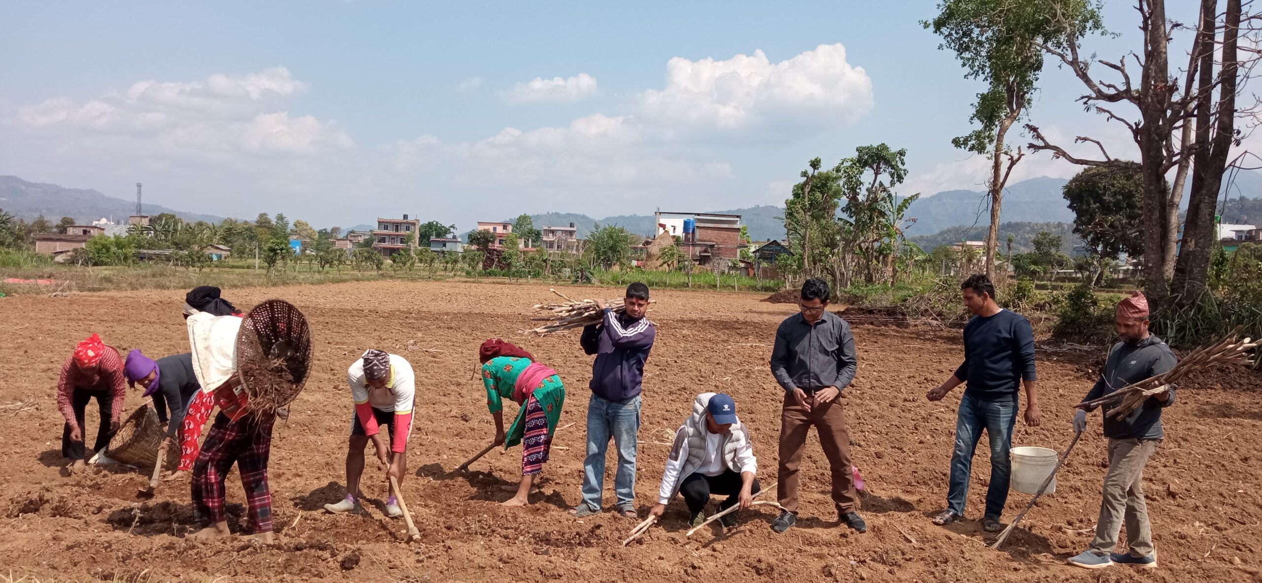 उखुखेती प्रवद्र्धन गर्दै रामपुरका युवा