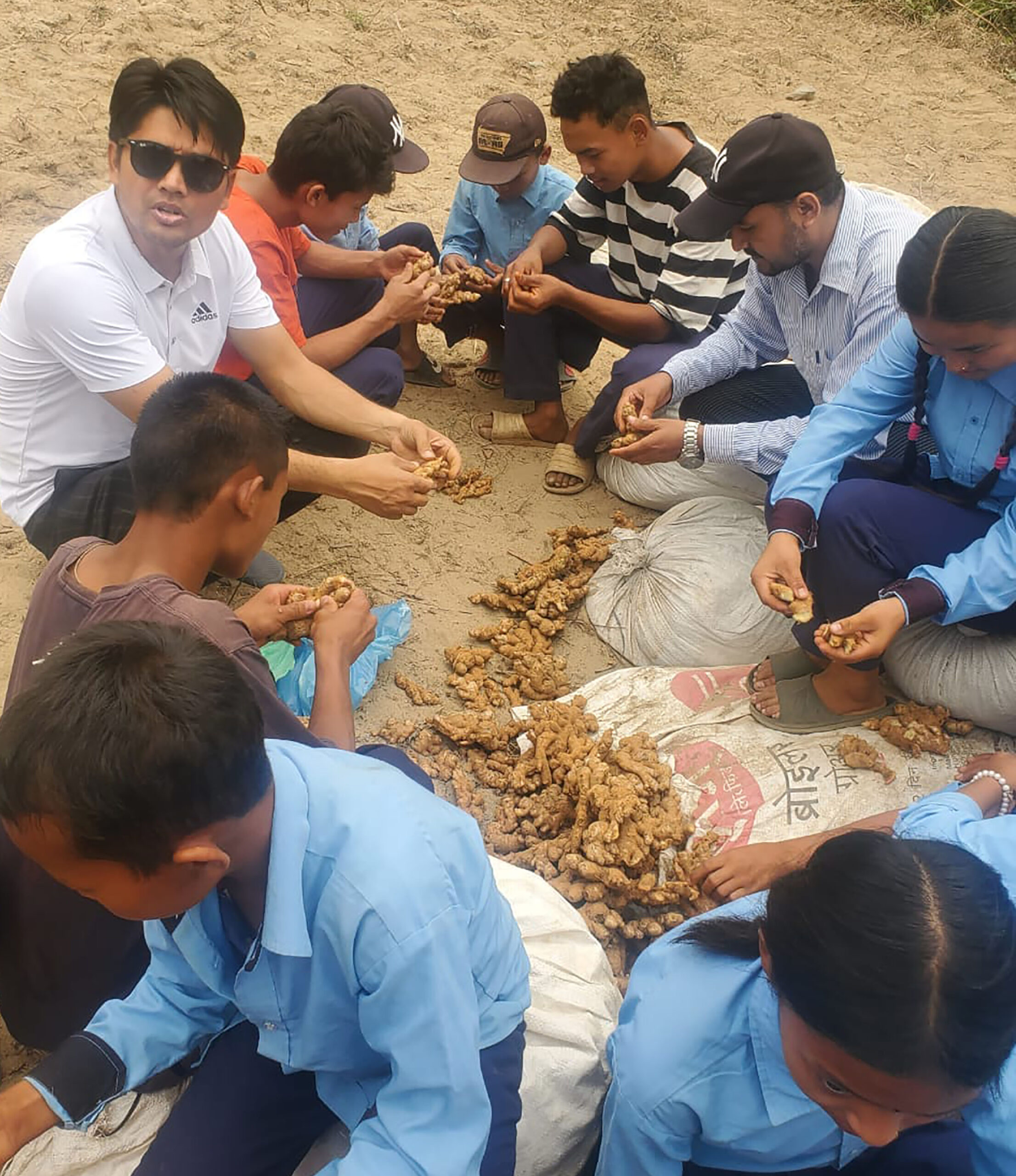 पढ्दै कमाउँदै कार्यक्रम : अदुवा खेतीमा विद्यार्थी