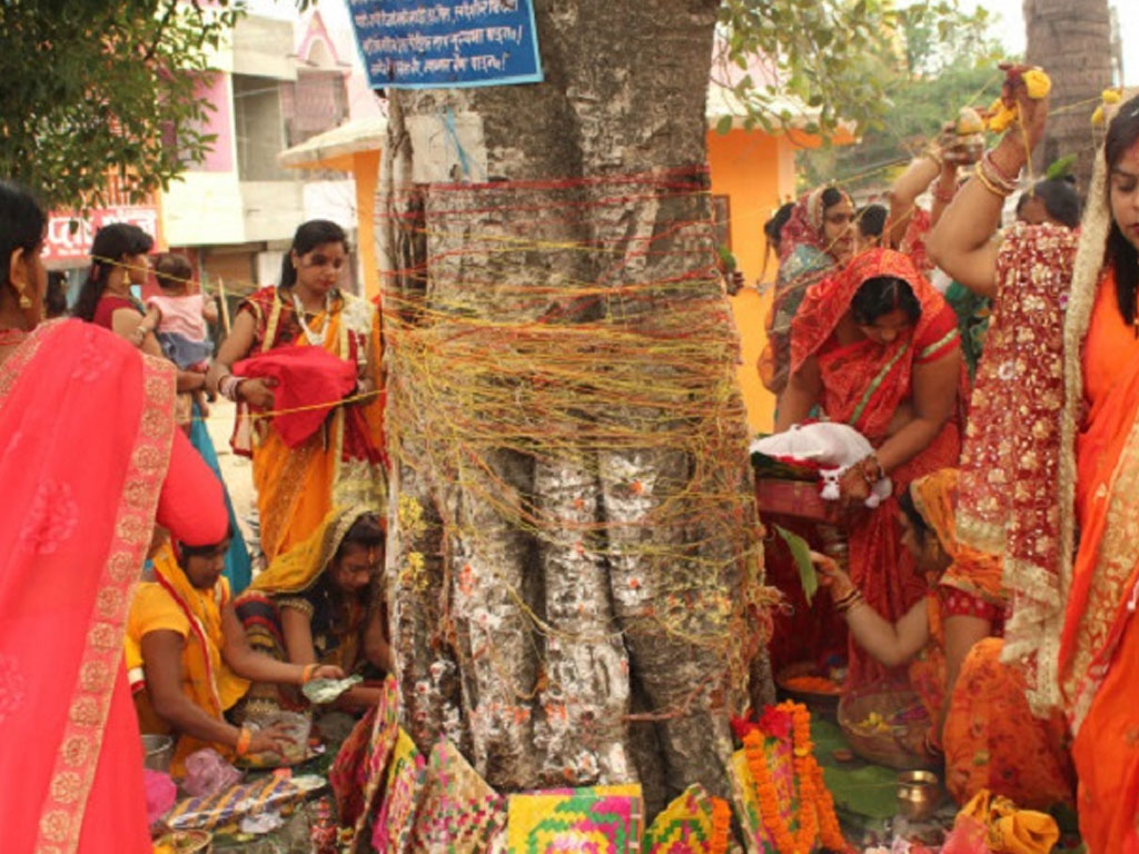 मिथिलाञ्चलमा आज बरसाइत पर्व मनाइँदै