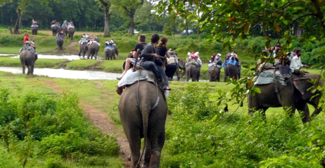 चितवनमा पर्यटक तान्न ठाउँ–ठाउँमा मेला र महोत्सव