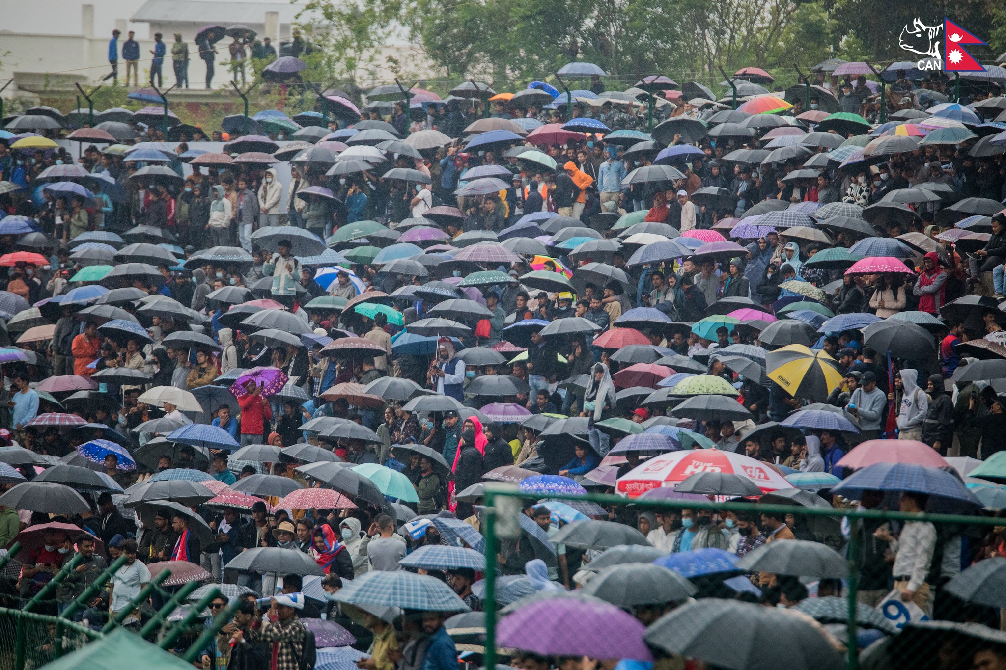 कीर्तिपुरमा क्रिकेट क्रेज, पानी पर्दा छातामुनि दर्शक