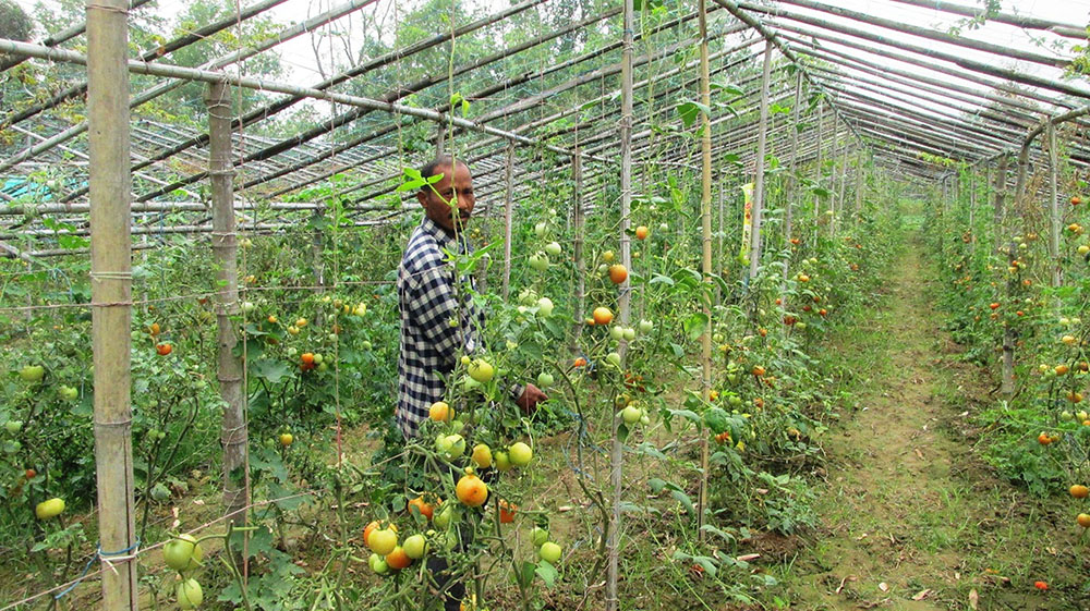 ‘आफ्नै माटोमा परिश्रम गर्दा गौरवको अनुभूति हुन्छ’