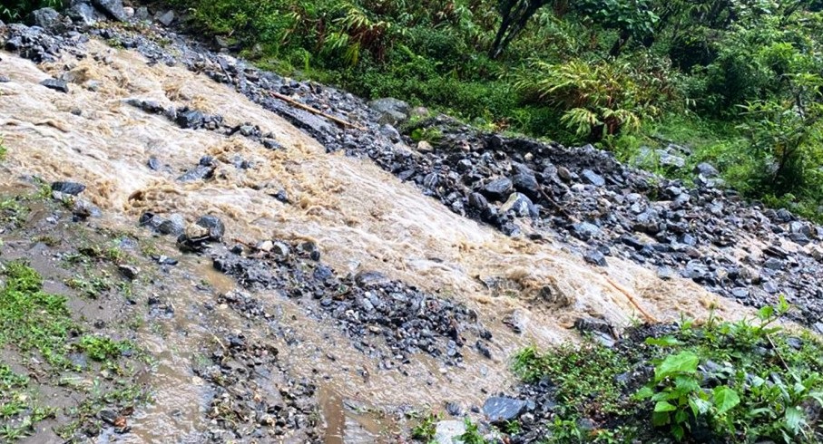 बाढी, पहिरोमा परी १४५ जनाको मृत्यु