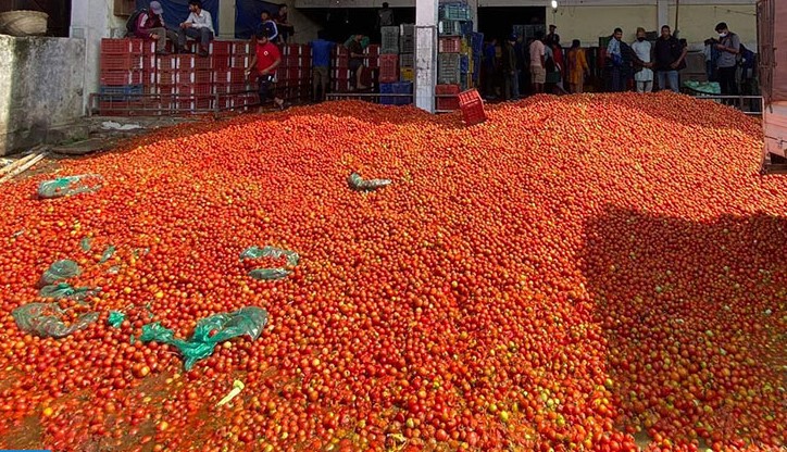 २ रुपैयाँमा नबिकेको गोलभेंडाको मुल्य एक महिनामा पुग्यो ११०