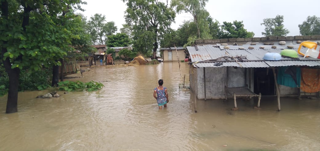 एक दशकपछि अत्यधिक वर्षा: भजनी र टीकापुरमा डुबान, दीर्घकालीन समाधानको खोजी 