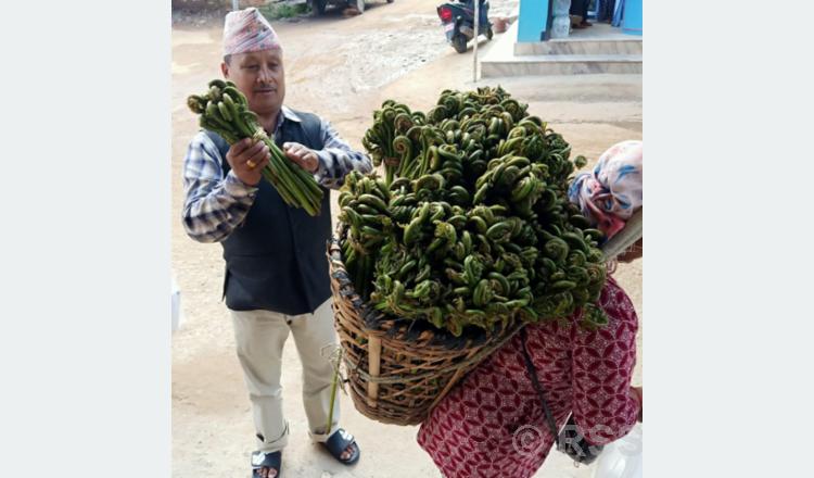 बागलुङमा दोवाको निउरो