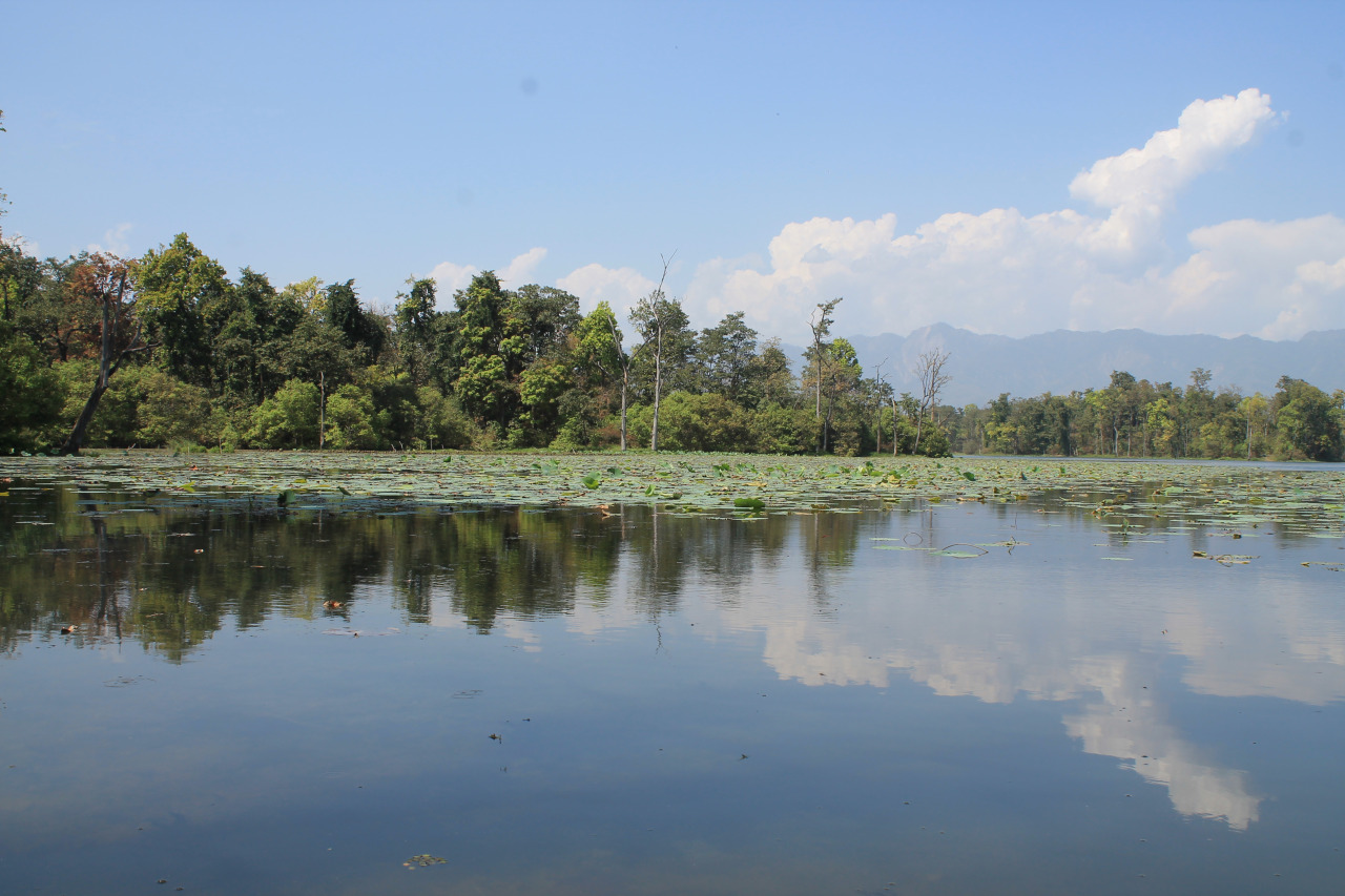 पर्यटक आकर्षित गर्न जङ्गलमा कृत्रिम ताल