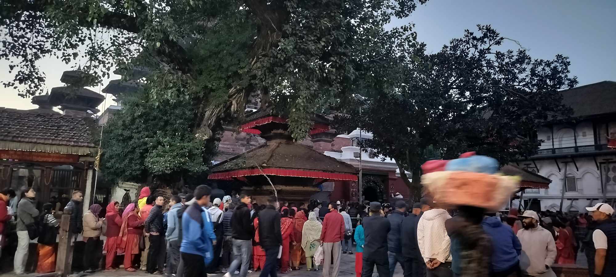 महानवमीका दिनमात्र खुल्ने तलेजु भवानी मन्दिरमा भक्तजनको घुइँचो