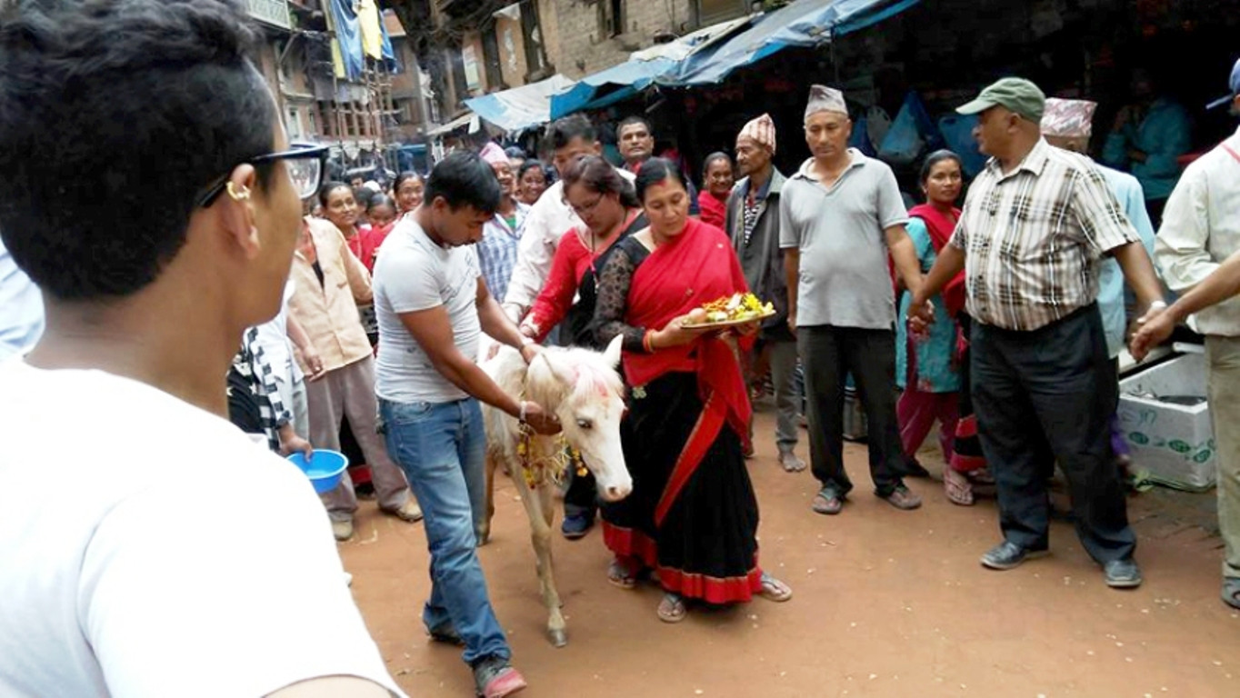 तलेजुको वाहन सेतो घोडा जात्रा सम्पन्न