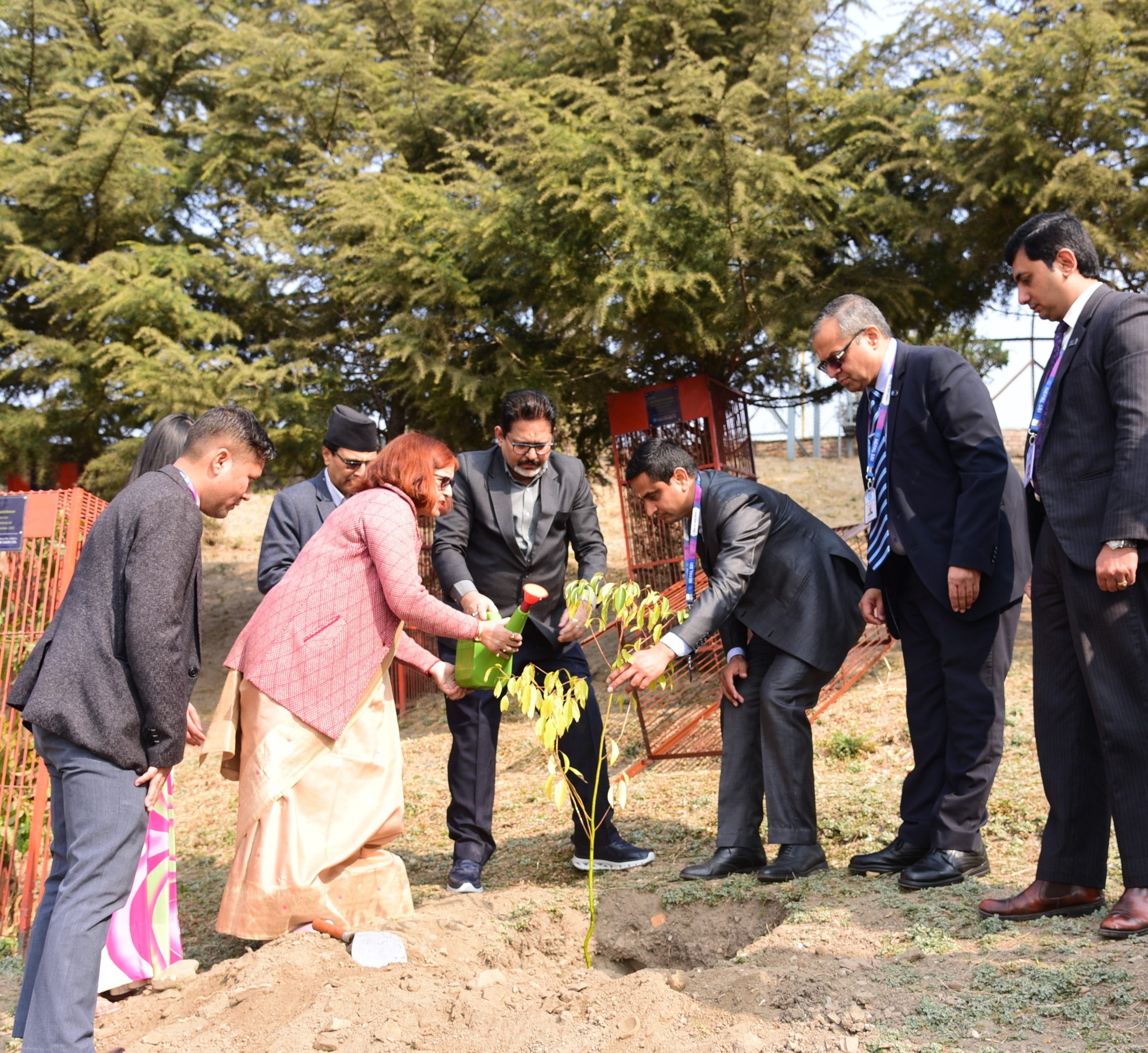 नेपाल एसबिआई बैंकद्वारा पशुपतिको कैलाश डाँडामा वृक्षारोपण सम्पन्न