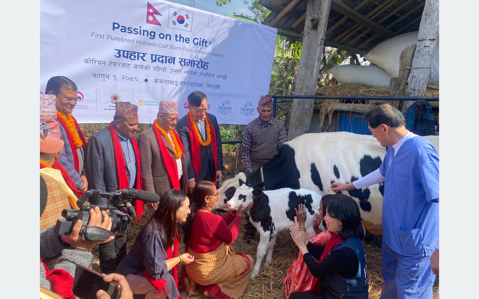 दूध उत्पादनमार्फत किसानको जीवनस्तर उकास्ने ‘मिल्की वे’ परियोजना सुरु