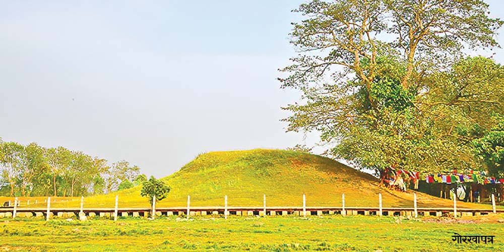 रामग्राम क्षेत्र भाडामा लगाउने सम्झौता खारेज