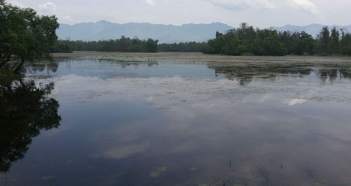 विश्व सिमसार दिवसः अत्यधिक दोहनले सङ्कट निम्तदै