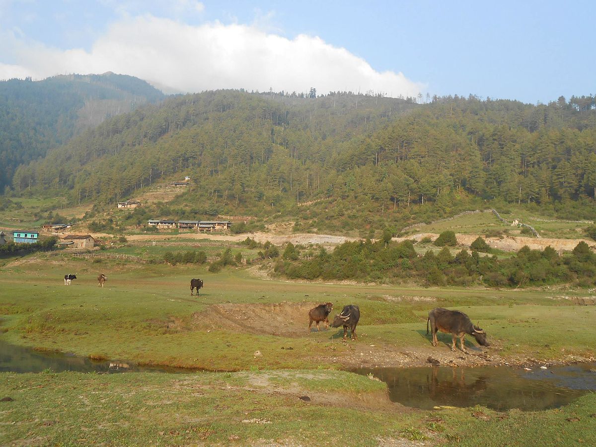 ढोरपाटन सिकार आरक्षमा वन्यजन्तु सप्ताह मनाइँदै