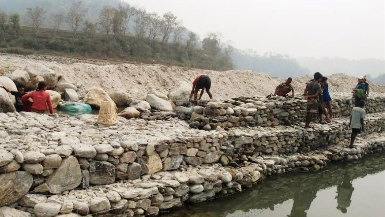 सिँचाइका लागि कोठीखोलामा तटबन्ध निर्माण