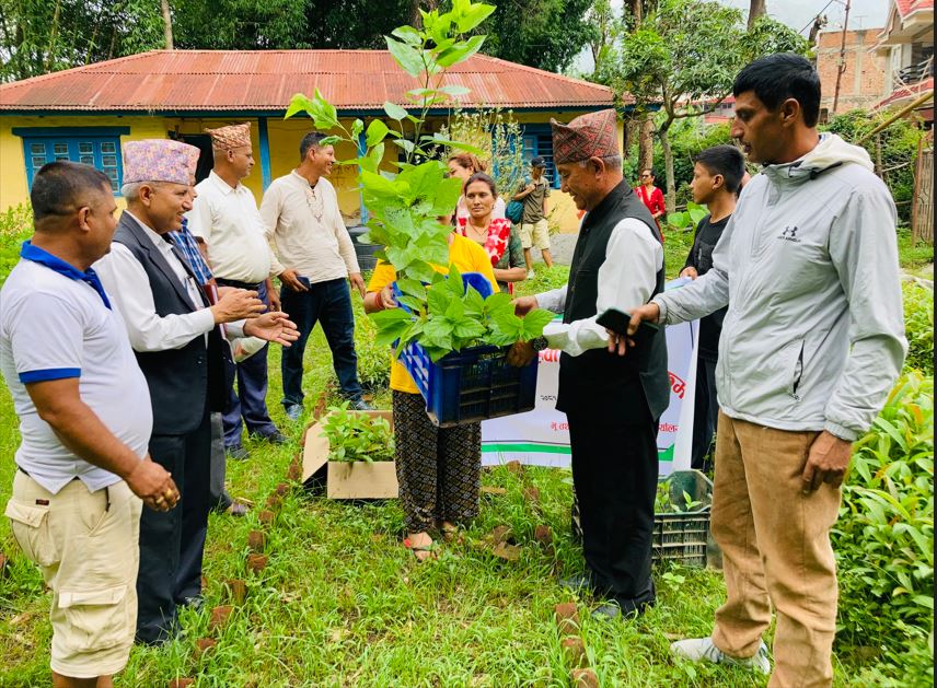 किसानलाई ६४ हजार डालेघाँसका बिरुवा वितरण