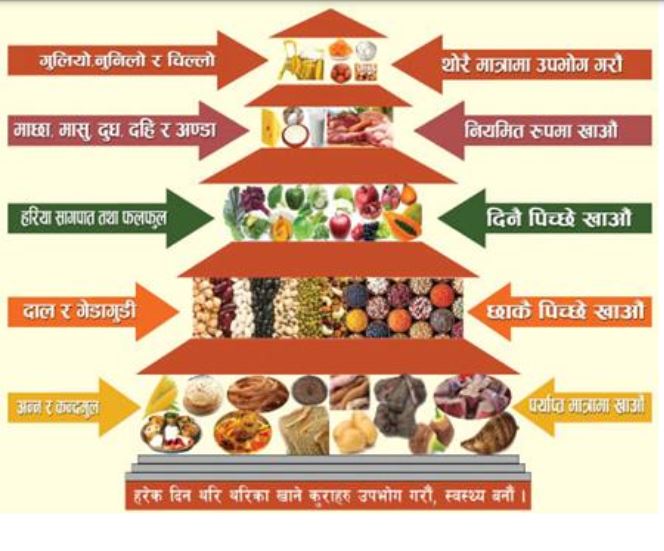 स्वास्थ्य संस्थामा ‘पोषण कर्नर’ सञ्चालन