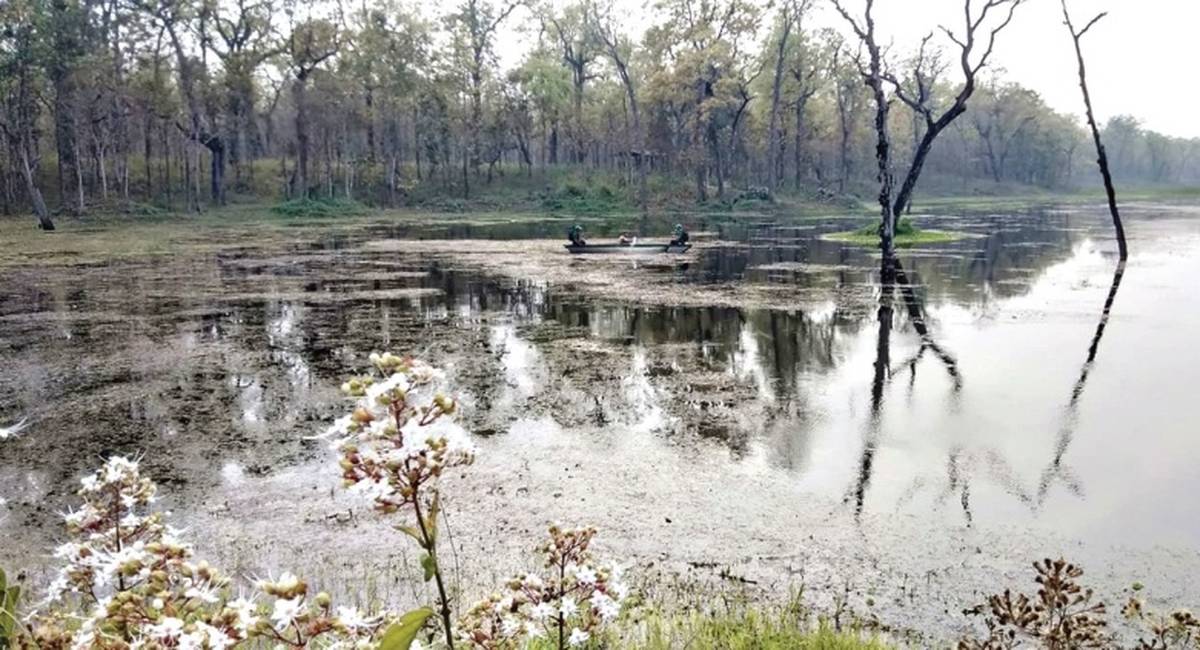 प्रचारप्रसार नहुँदा ओझेलमा राइनो ताल