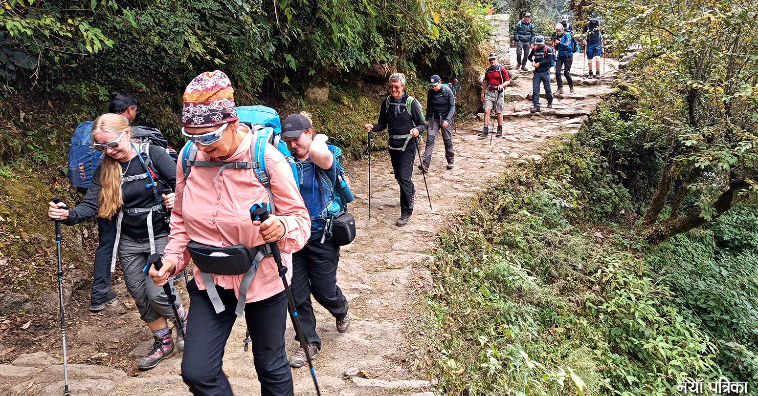 अनुमतिपत्र नलिई पर्यटक घुमाउने पथप्रदर्शक कारबाहीमा