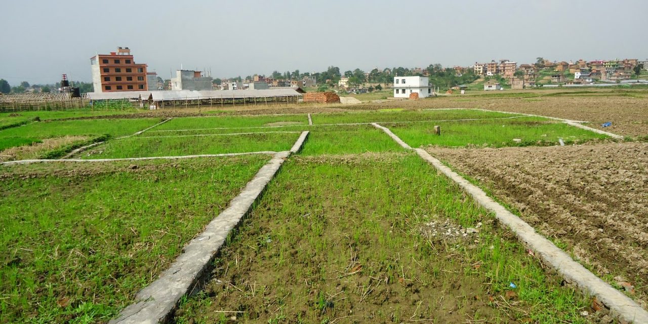 जग्गा किनबेचमा आएन उल्लेख्य सुधार : दुई प्रतिशतले मात्रै बढ्यो कारोबार